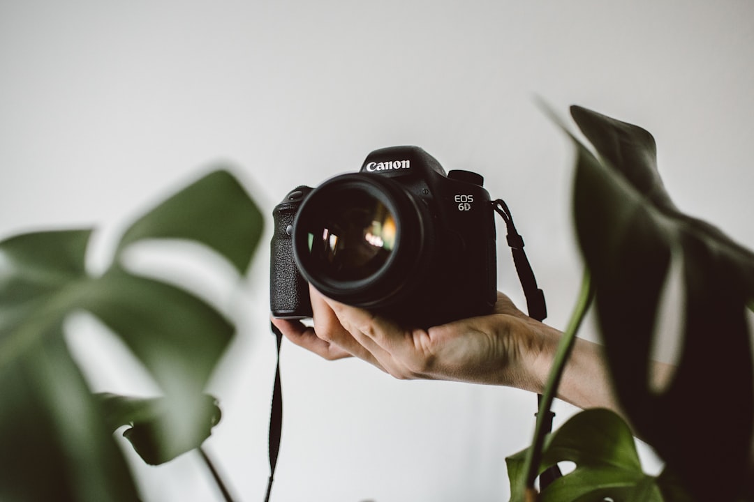 Unveiling the Secrets of Budget-Friendly Photography Gear